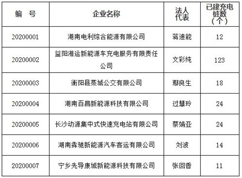 7家企業入選湖南省電動汽車充電設施運營服務商公示目錄，推動充電設施建設運營
